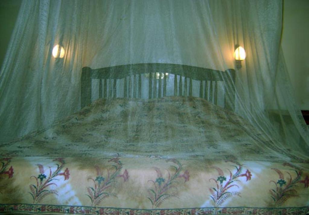 Palm Garden Home Stay Deiyannewela Pokój zdjęcie
